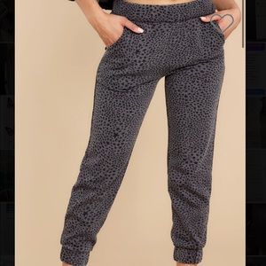 Z Supply joggers NWT